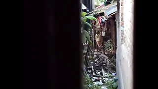 Desi Pee and Piss3.AVI